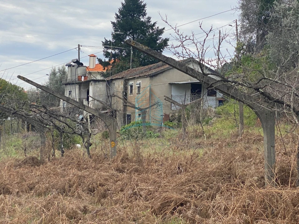 Moradia T4 para Venda em Baião (Santa Leocádia) e Mesquinhata Foto 5