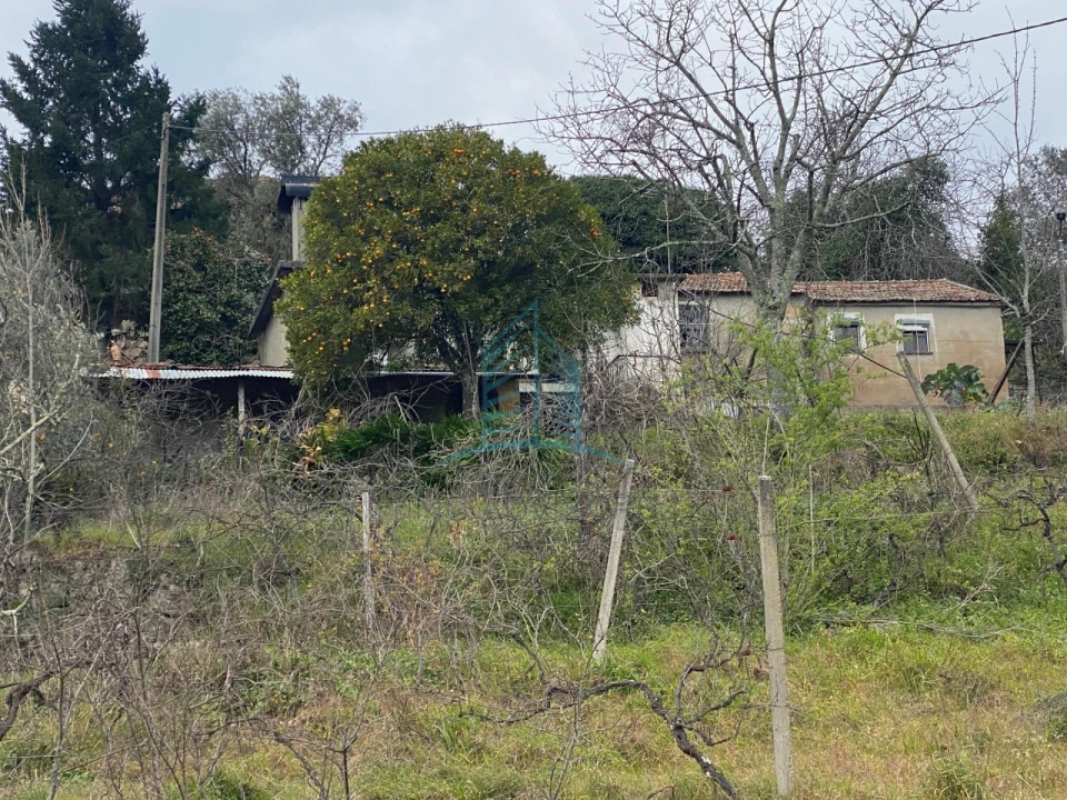 Moradia T4 para Venda em Baião (Santa Leocádia) e Mesquinhata Foto 7