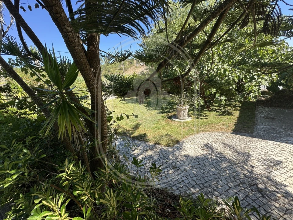 Moradia T3 para Venda em São Pedro de Tomar Foto 52