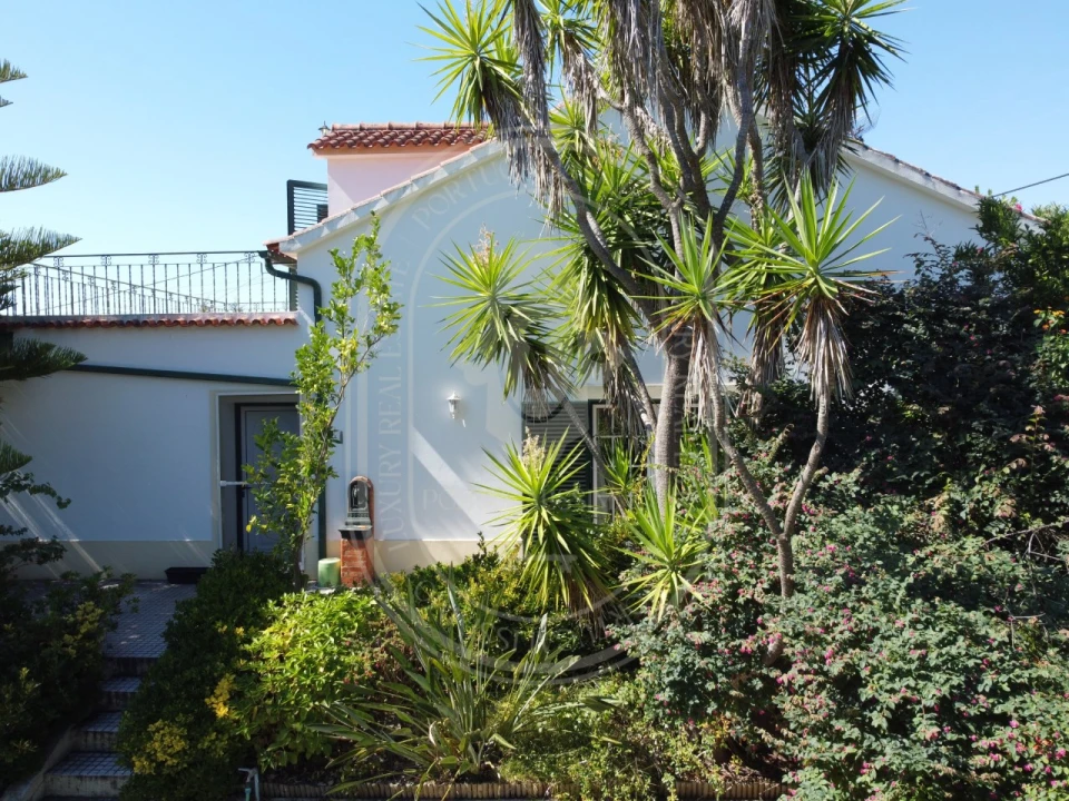 Moradia T3 para Venda em São Pedro de Tomar Foto 66