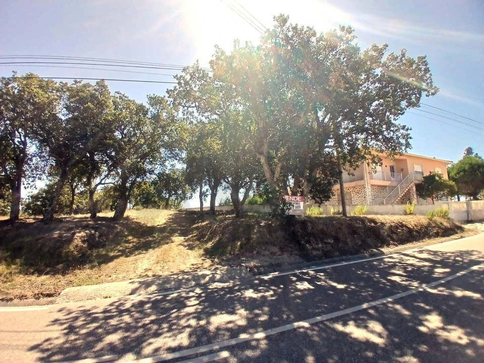 Terreno para Venda em Salir de Matos Foto 10