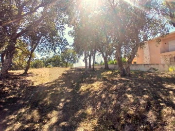 Terreno para Venda em Salir de Matos