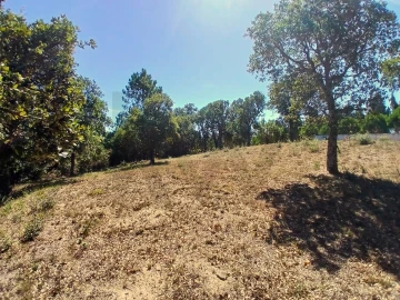 Terreno para Venda em Salir de Matos