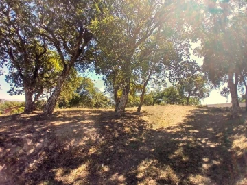 Terreno para Venda em Salir de Matos