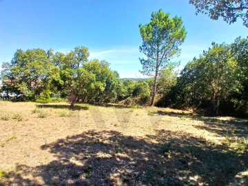 Terreno para Venda em Salir de Matos