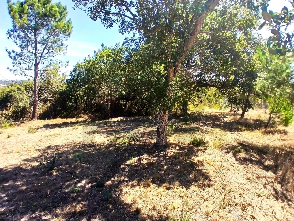 Terreno para Venda em Salir de Matos Foto 21