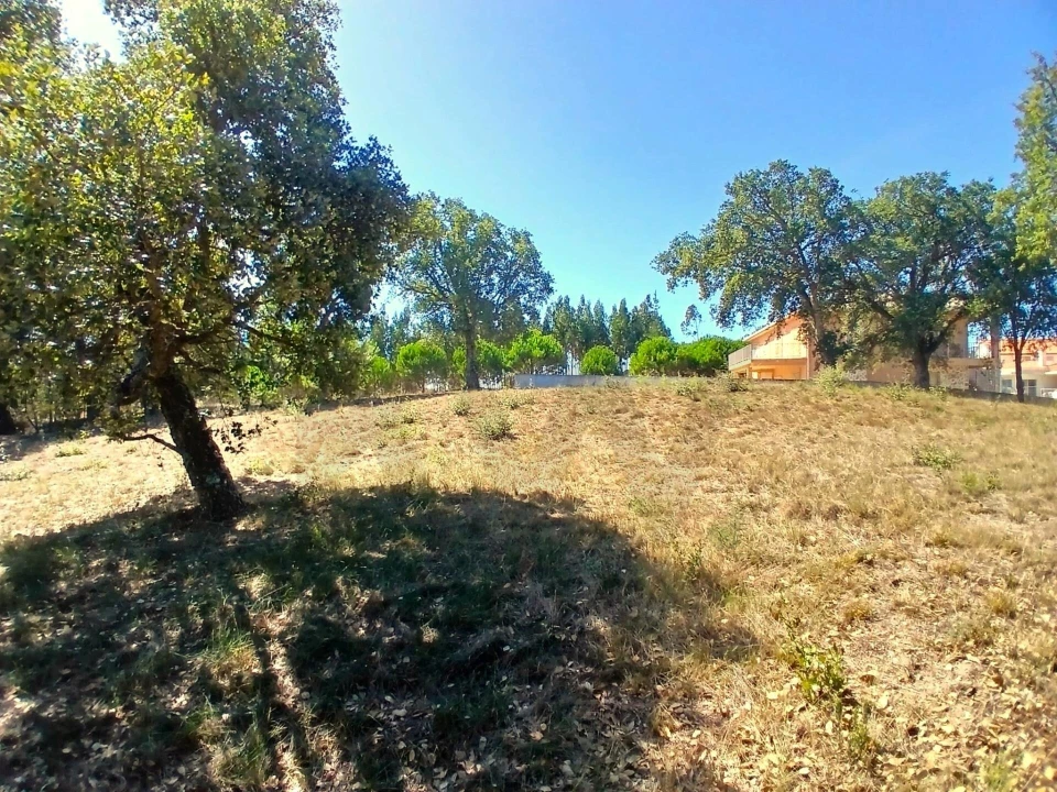 Terreno para Venda em Salir de Matos Foto 8