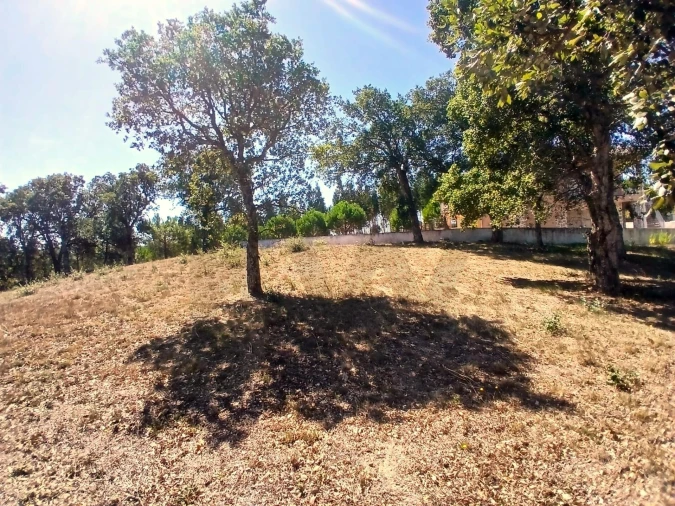 Terreno para Venda em Salir de Matos Foto 5