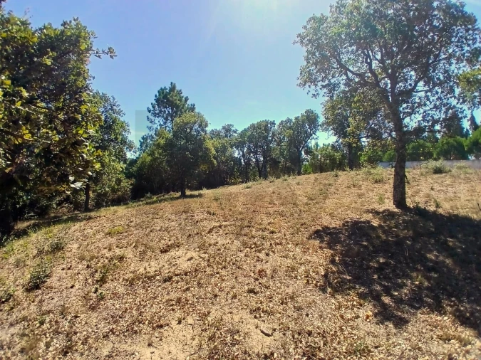Terreno para Venda em Salir de Matos Foto 6