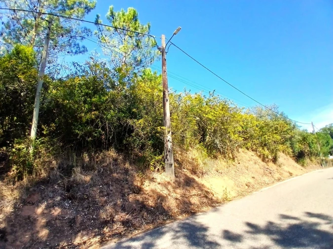 Terreno para Venda em Salir de Matos Foto 14