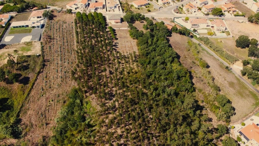 Terreno para Venda em Salir de Matos Foto 18