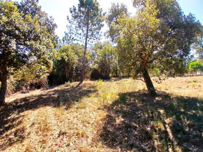Terreno para Venda em Salir de Matos Foto 20