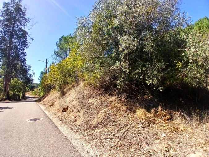 Terreno para Venda em Salir de Matos Foto 13