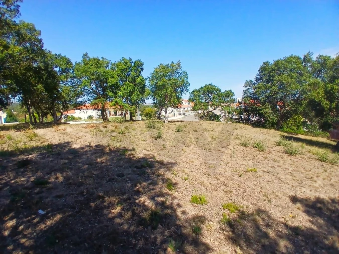 Terreno para Venda em Salir de Matos Foto 16