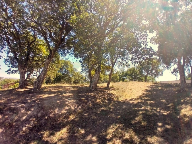 Terreno para Venda em Salir de Matos Foto 7