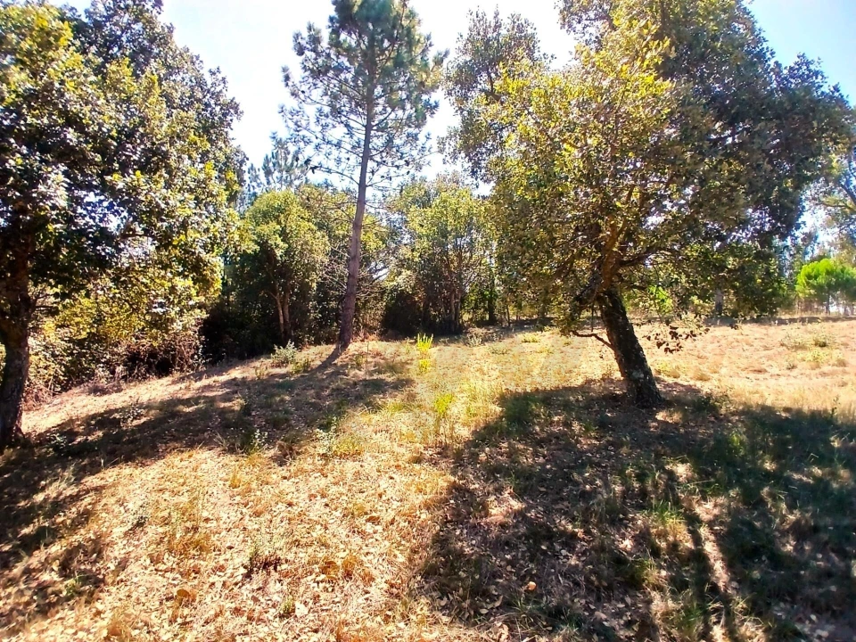 Terreno para Venda em Salir de Matos Foto 20