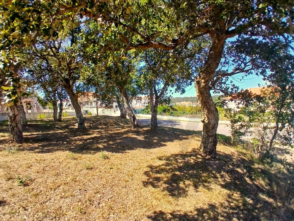 Terreno para Venda em Salir de Matos Foto 4