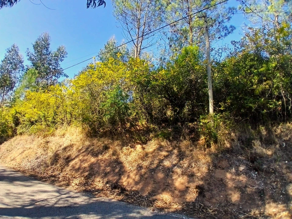 Terreno para Venda em Salir de Matos Foto 12