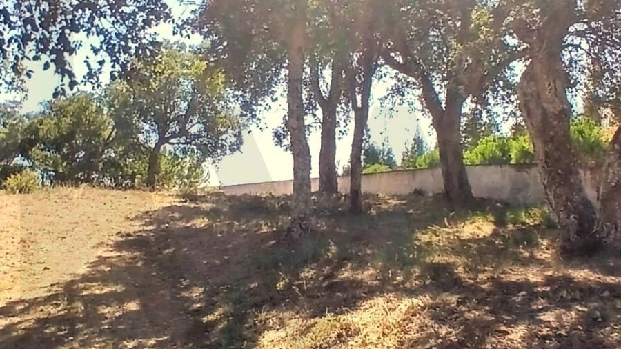 Terreno para Venda em Salir de Matos