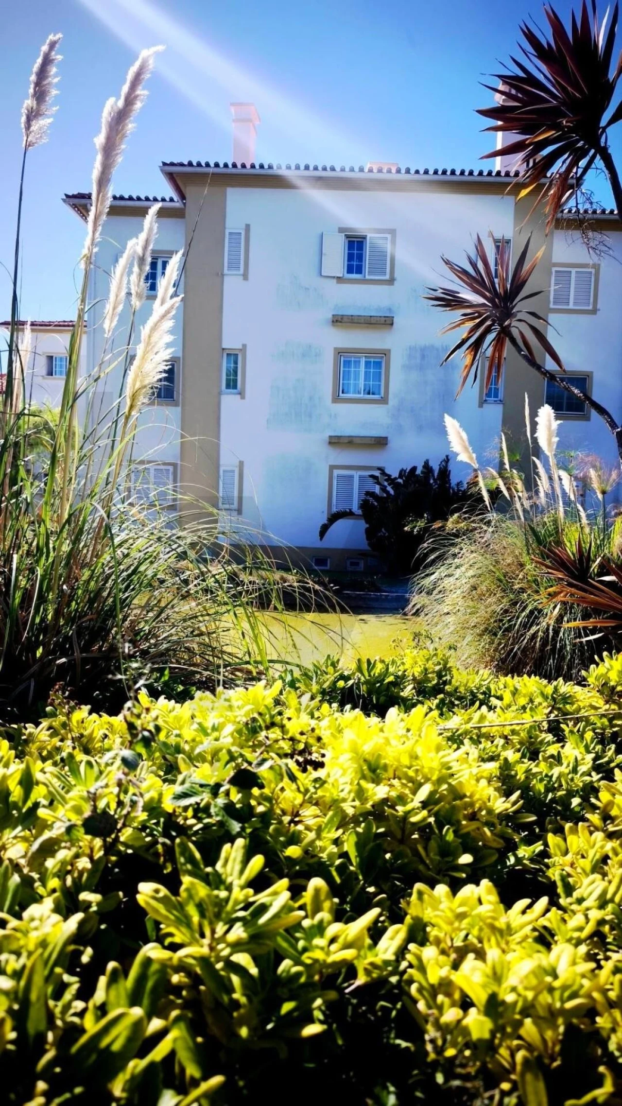 Apartamento T3 para Venda em Santa Maria e São Miguel, São Martinho, São Pedro Penaferrim Foto 18