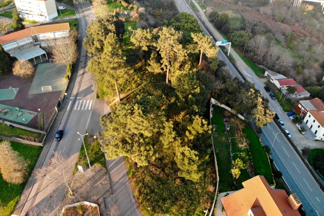 Terreno para Venda em Campanhã Foto 13
