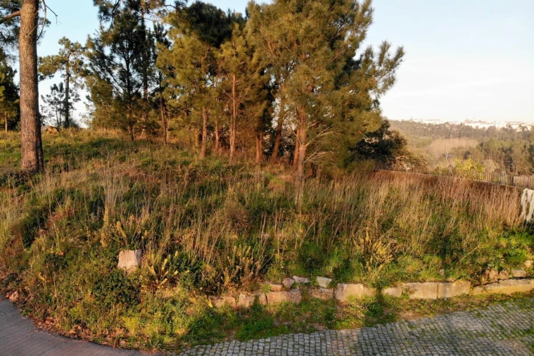 Terreno para Venda em Campanhã Foto 22