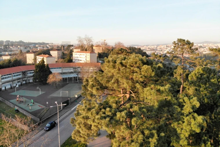 Terreno para Venda em Campanhã Foto 21