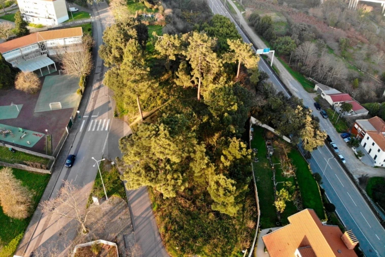 Terreno para Venda em Campanhã Foto 8