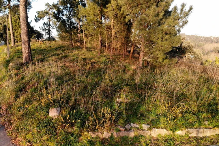 Terreno para Venda em Campanhã Foto 12