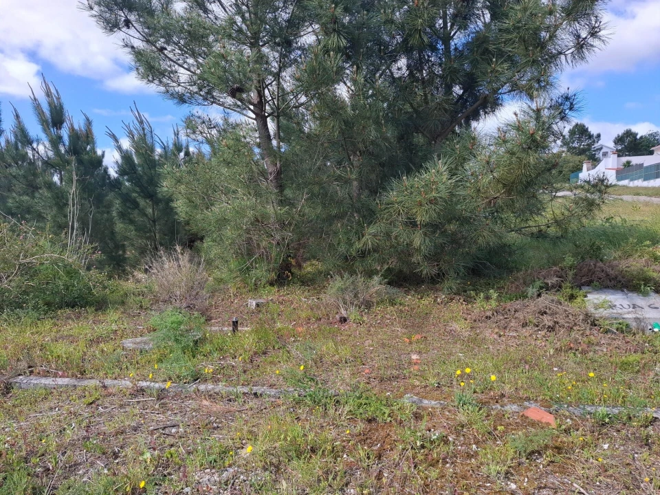 Terreno para Venda em Quinta do Conde Foto 9