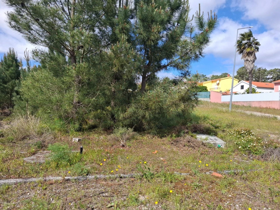 Terreno para Venda em Quinta do Conde Foto 2