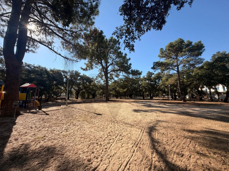 Loja para Venda em Quinta do Anjo Foto 7