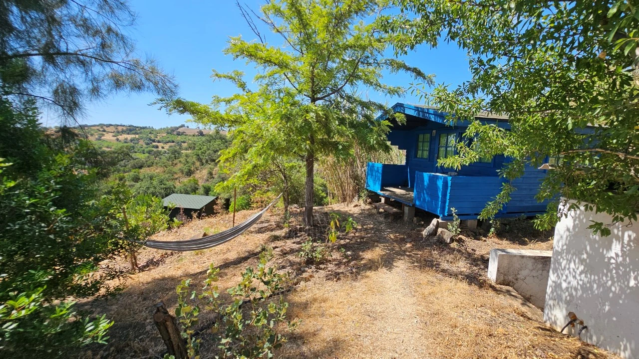 Negócio para Venda em Santa Catarina da Fonte do Bispo Foto 28