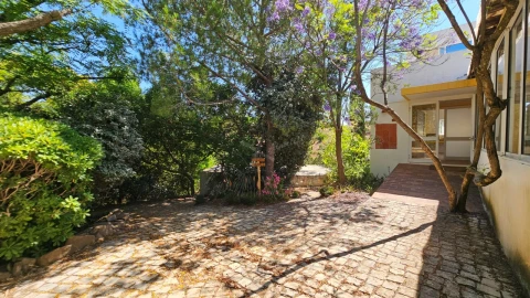 Negócio para Venda em Santa Catarina da Fonte do Bispo