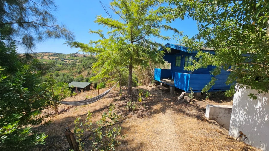 Negócio para Venda em Santa Catarina da Fonte do Bispo Foto 28