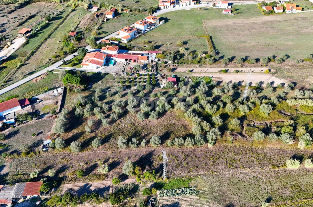 Terreno para Venda em Santo Varão Foto 4