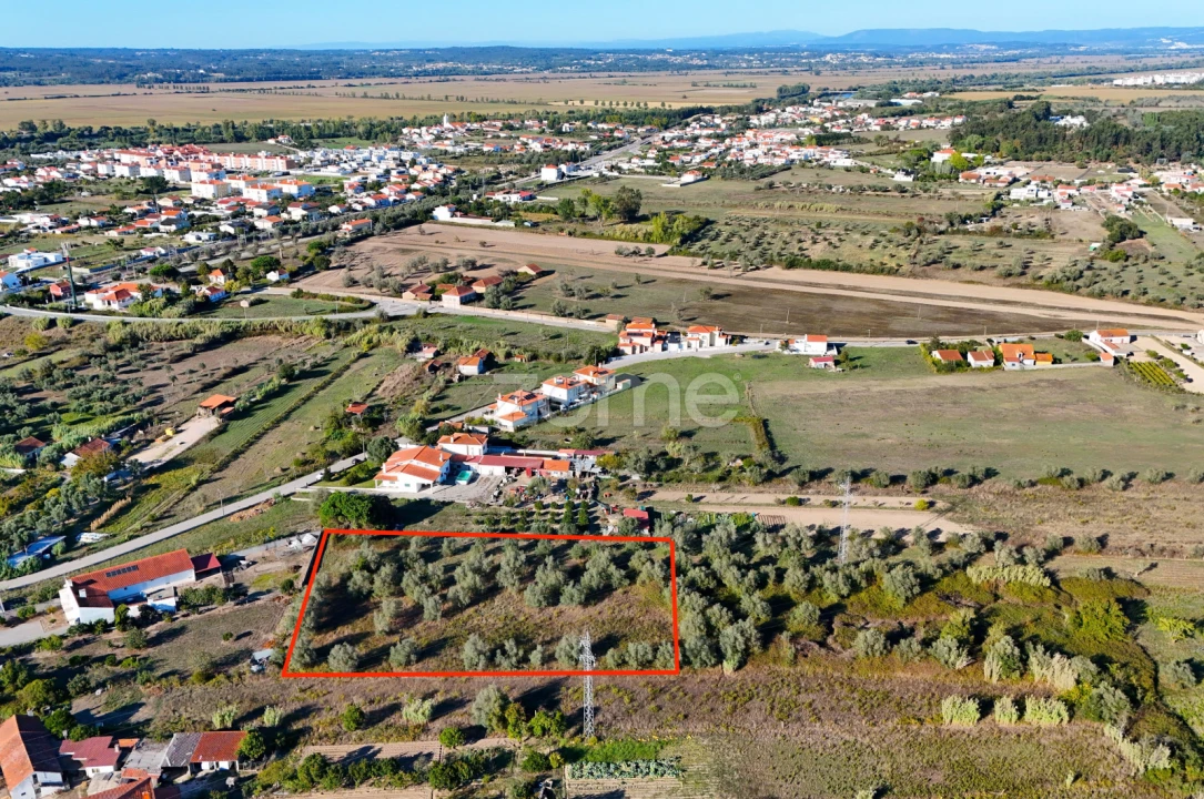 Terreno para Venda em Santo Varão Foto 6