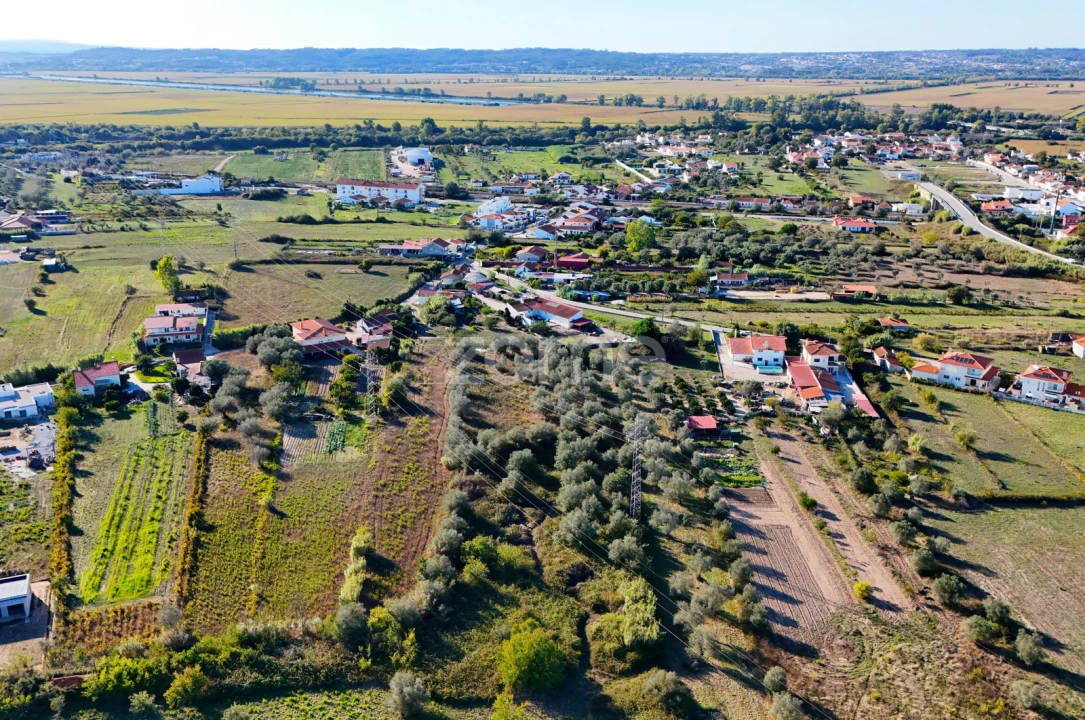 Terreno para Venda em Santo Varão Foto 7