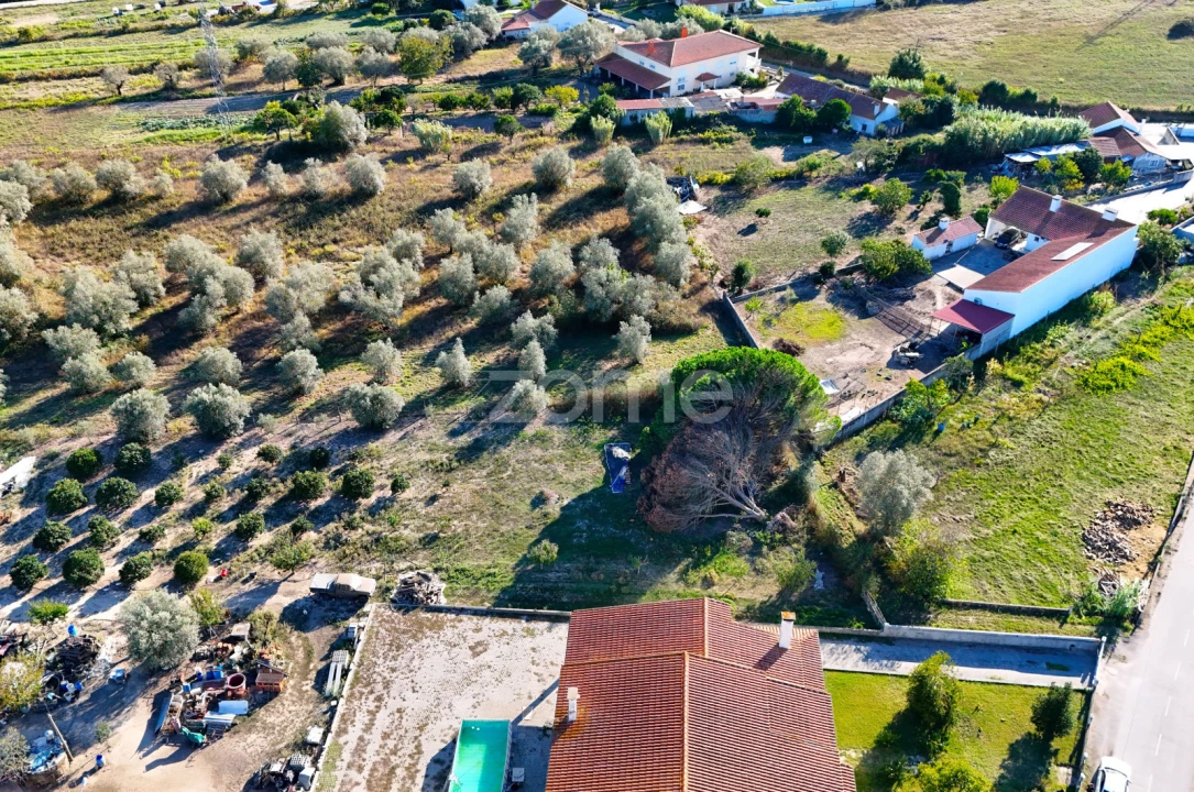 Terreno para Venda em Santo Varão Foto 10