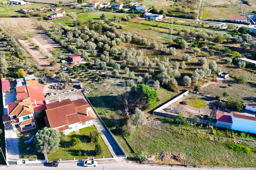 Terreno para Venda em Santo Varão Foto 12