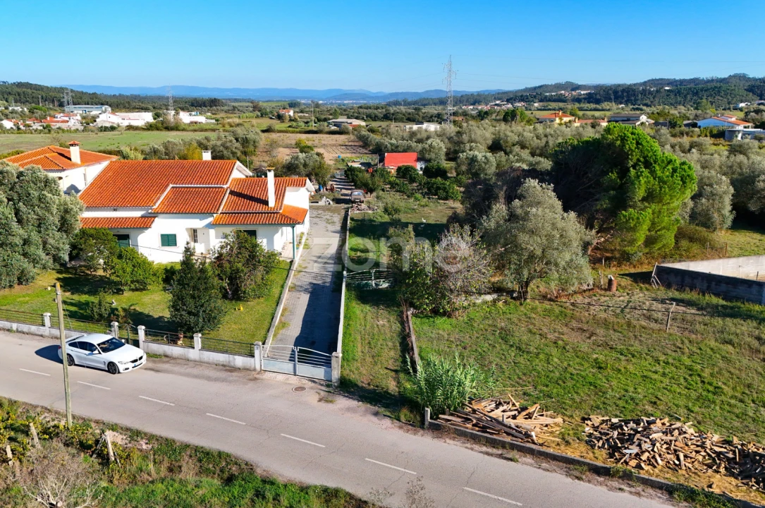 Terreno para Venda em Santo Varão Foto 13