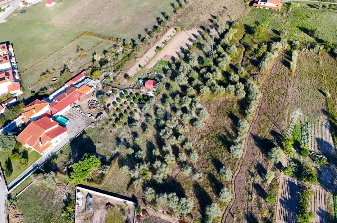 Terreno para Venda em Santo Varão Foto 3