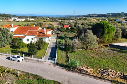 Terreno para Venda em Santo Varão