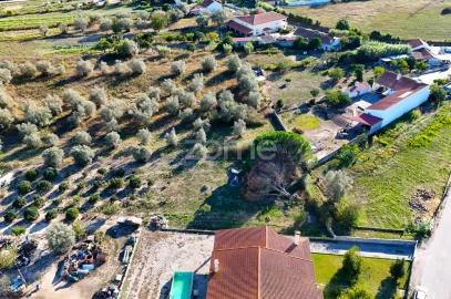 Terreno para Venda em Santo Varão