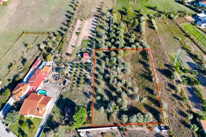Terreno para Venda em Santo Varão