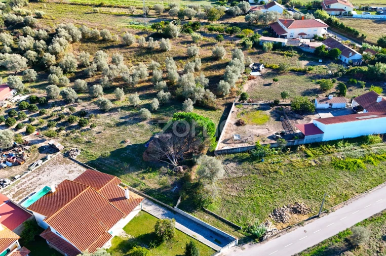 Terreno para Venda em Santo Varão Foto 11