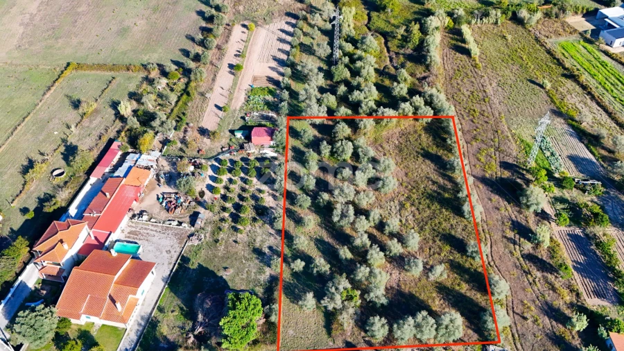 Terreno para Venda em Santo Varão
