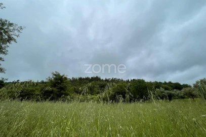 Terreno para Venda em São Miguel, Santa Eufémia e Rabaçal