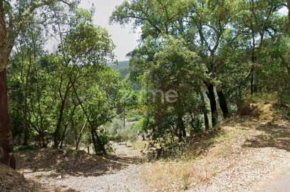 Terreno para Venda em São Miguel, Santa Eufémia e Rabaçal