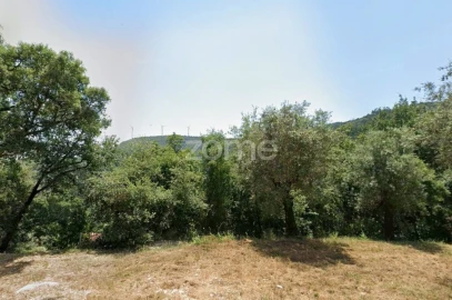 Terreno para Venda em São Miguel, Santa Eufémia e Rabaçal